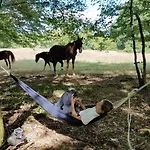 Les Tourterelles Et Mobilhomes Κάμπινγκ