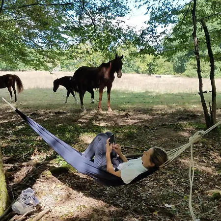 Et Mobilhomes Les Tourterelles Campsite